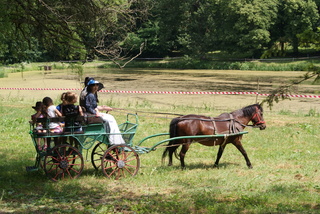 Mini 87ba3823 69b3 4ce3 a844 940c1de081a5