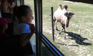 Mini 45357bf0 bf57 4049 b83f ca2a3cc5c86f