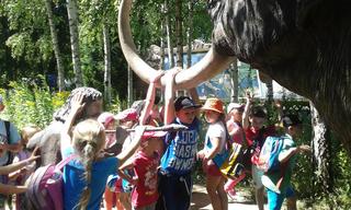 Mini f6ff45e9 dbe9 4ba4 9ca2 1724d3644a9b