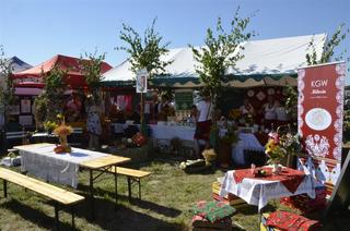 Mini bb289b88 5789 4ac1 9f1b 4cd8734d58b6