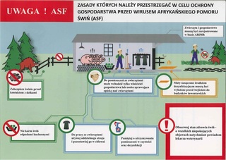 Mini af4d5057 206e 4bc2 951c 4e77cfcedfe2
