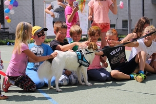 Mini 047a6f11 22e4 4b32 988f 8bacd9cd207c