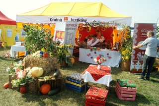 Mini 16104af7 5bbb 453d ae4a ee3525587e25