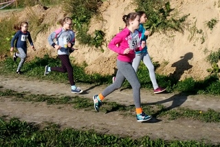 Mini aec69cb1 54ef 47c5 8a9f 4294adeb9c7b