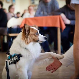 Mini ea8ffafd bc92 4e22 af5d 4232a9825c12