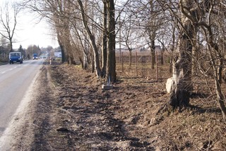 Mini 462f9dc0 eba9 48c9 9e0a a5a68bf04437