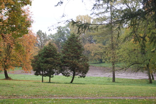 Mini 03e98e8c 83b7 47e2 82a6 45c9ea83dcd3