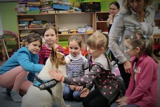 Mini 8625706e 1c66 4038 98ae 20a08eefc6e7