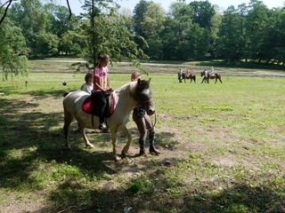 Mini 76d23075 6643 4a10 abd4 5ff2372e6a3c