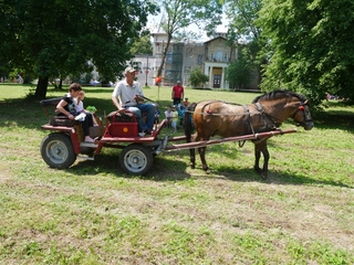 Mini 52f2f7a0 6b1c 4567 951c 963df82d5db1