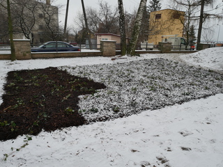 Mini 7e479377 56b5 43c2 a735 471b44c22ade