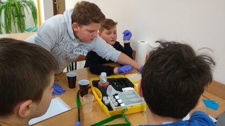 Mini aa4c9a75 6b76 472d a065 4bedfd3acb16