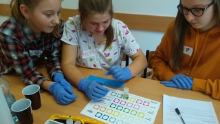 Mini fac7e044 a991 493a 91d7 534fa61c8b83