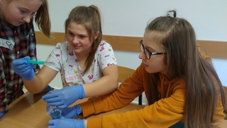 Mini d6e2a632 0036 418d 95c8 44adb8428546