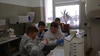 Mini 38d0a95a d016 4a4c a185 8bee71c2f35d