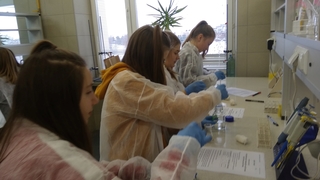 Mini e2fcef42 79de 4d42 90e2 402849792c49