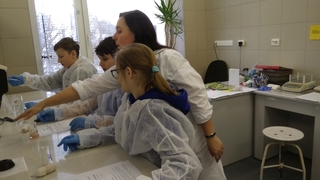 Mini 8cb51c87 80dd 47b8 a265 e169f8f0a5e3