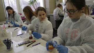 Mini 202beda7 8de4 4152 bdc8 01349b203d73