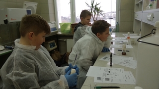 Mini 6bbd32d8 a7a5 4e48 b665 bd94563a68aa