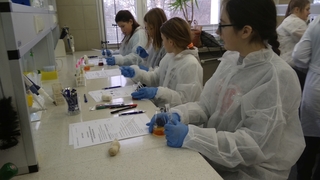 Mini 37491aee 2033 42f6 bcd5 dccd50948ad6