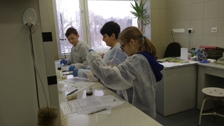 Mini 2aea0593 5e2c 4a93 afc2 70d34025b863