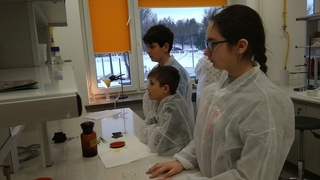 Mini 4b96d242 60e1 4e90 9929 2afa0a593135