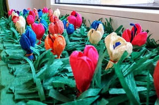 Mini 4d618861 8938 4f24 832e 0811984ecd10