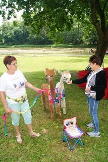 Mini 33406597 fd5d 4fa9 b07c 8e7e4ef53079