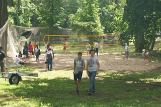 Mini 421d3b61 1234 42f2 929b 5d503678dff9