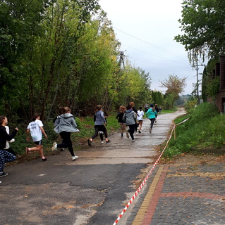 Mini 39057958 8dea 407e 9474 dadbf48b33ac