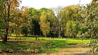 Mini 70cb475a e294 46f8 945a 949b6f058dd8