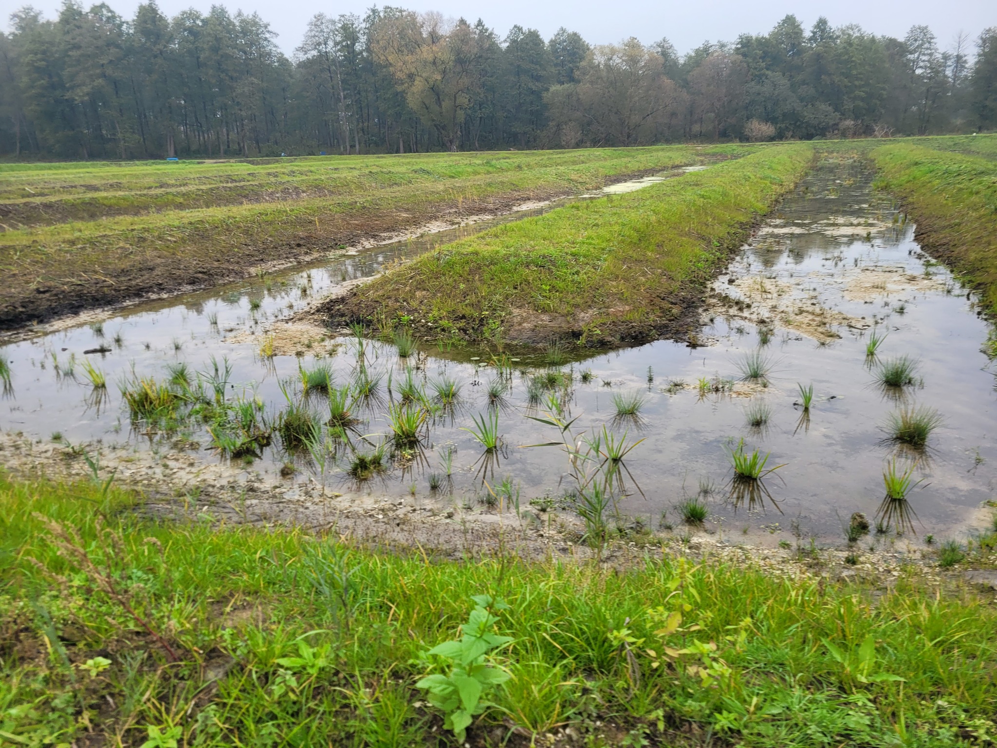 3ed2de53 40a5 4e51 aed2 996e30e80898