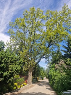 Mini bb5ec537 132f 4ed2 b2d3 5d8ba6cc2832