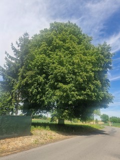 Mini 310a3d9c fdd2 4e91 a19c 5d0145e8e543