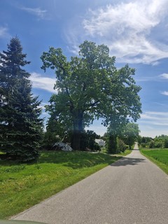 Mini 764149be 33b9 40d8 8695 b2ac0ee9e36a