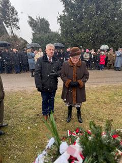 Mini a950b6c3 4713 40af b77b 4abd3dc7aacd