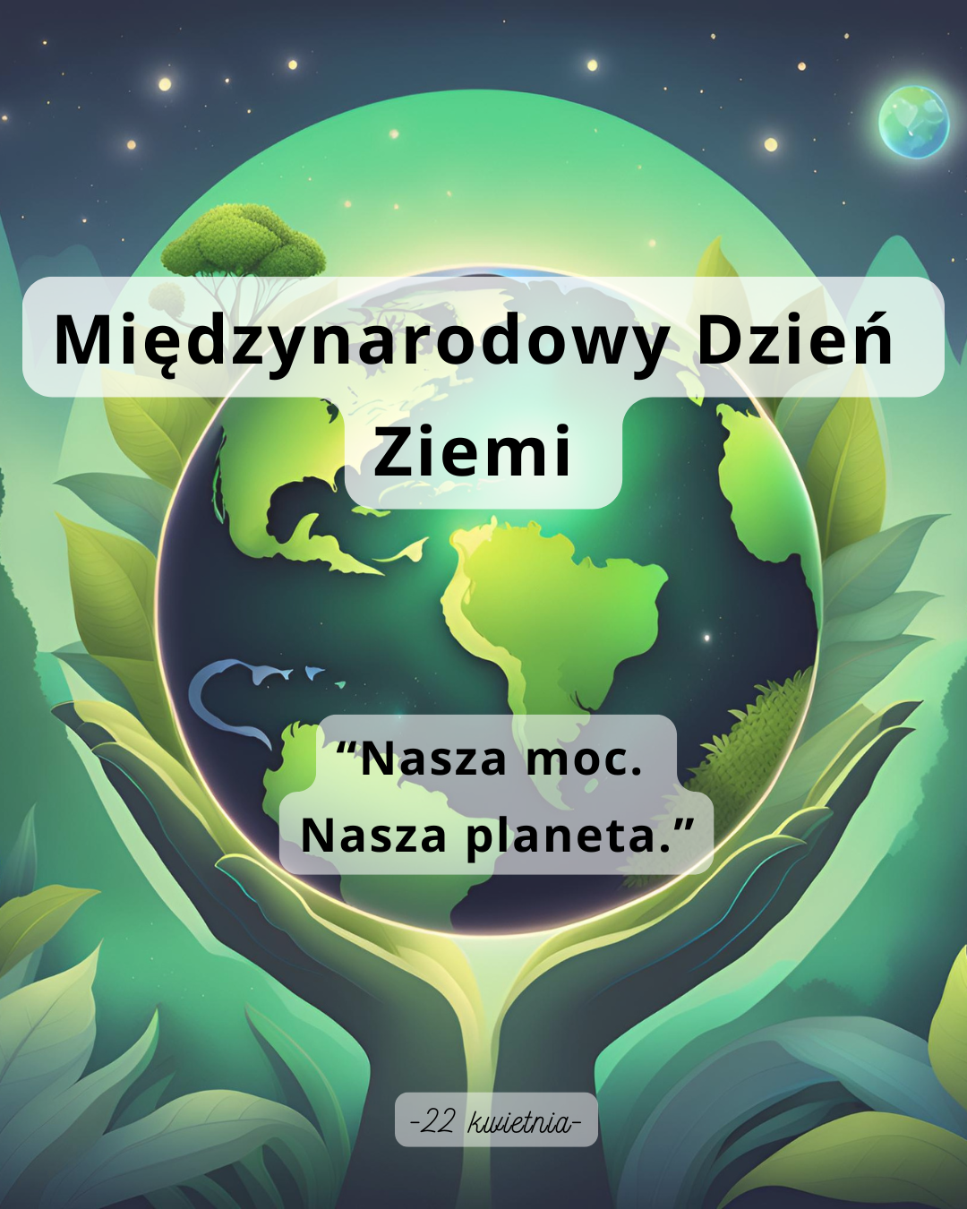 B1413096 f3fa 4e0b 9d47 51e124b28783