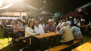 Mini 66becb18 df38 4531 9698 e0edb268fe2b