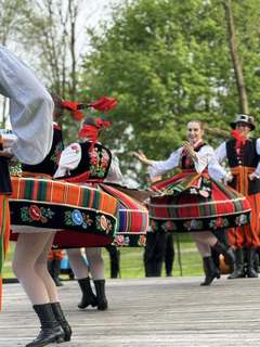 Mini 0fda6300 9ac1 4bab a183 d2a035e7c33b