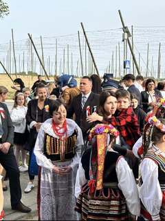 Mini 76a4129d 7e88 483c 81d7 c0e2e347ac1c