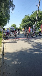 Mini 430469ee ef91 47a4 af23 3c158c15dc9e