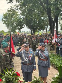 Mini f3fda6f9 a565 41c5 b3b0 732161193104