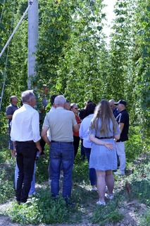 Mini 56624fad cd40 46fe 9d0b ec1a63b395b7