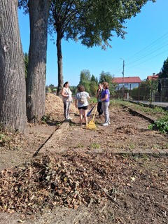 Mini 49709577 0c60 420d 9bfa 886ba4bccb1e