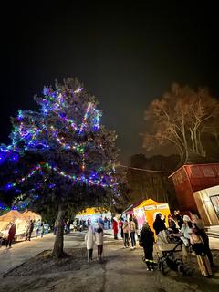 Mini d0f3d64f d513 4c97 94e1 80e393027568