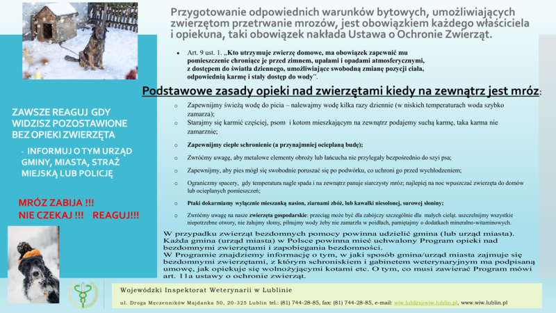 Podstawowe zasady opieki nad zwierzętami kiedy na zewnątrz jest mróz